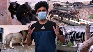 Bahawalpur Zoo | Jatt Bros