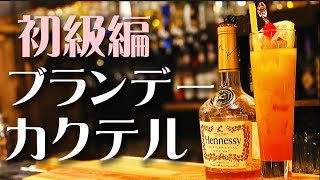 【ブランデーカクテルの作り方】バーテンダー歴20年のマスターが教える！宅飲み用簡単レシピ！ニコラシカの飲み方も教えます！