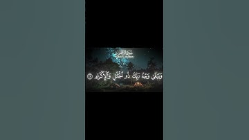 القران الكريم 🤍 #الطحان #اكسبلور #المصحف #لايك #دويتو #الرحمن #edit #ترند #القزابري #راحة_نفسية