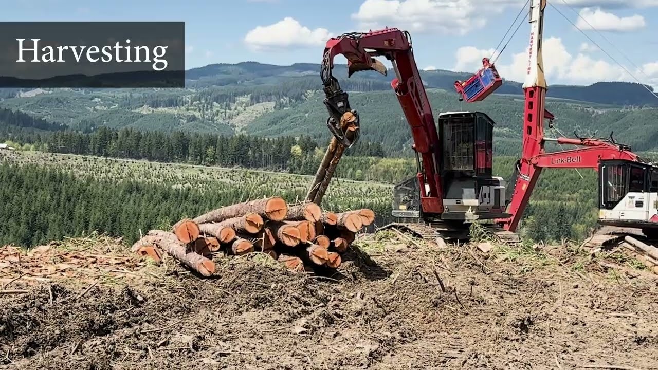 History & Framework of the Forest Practices Act (FPA)