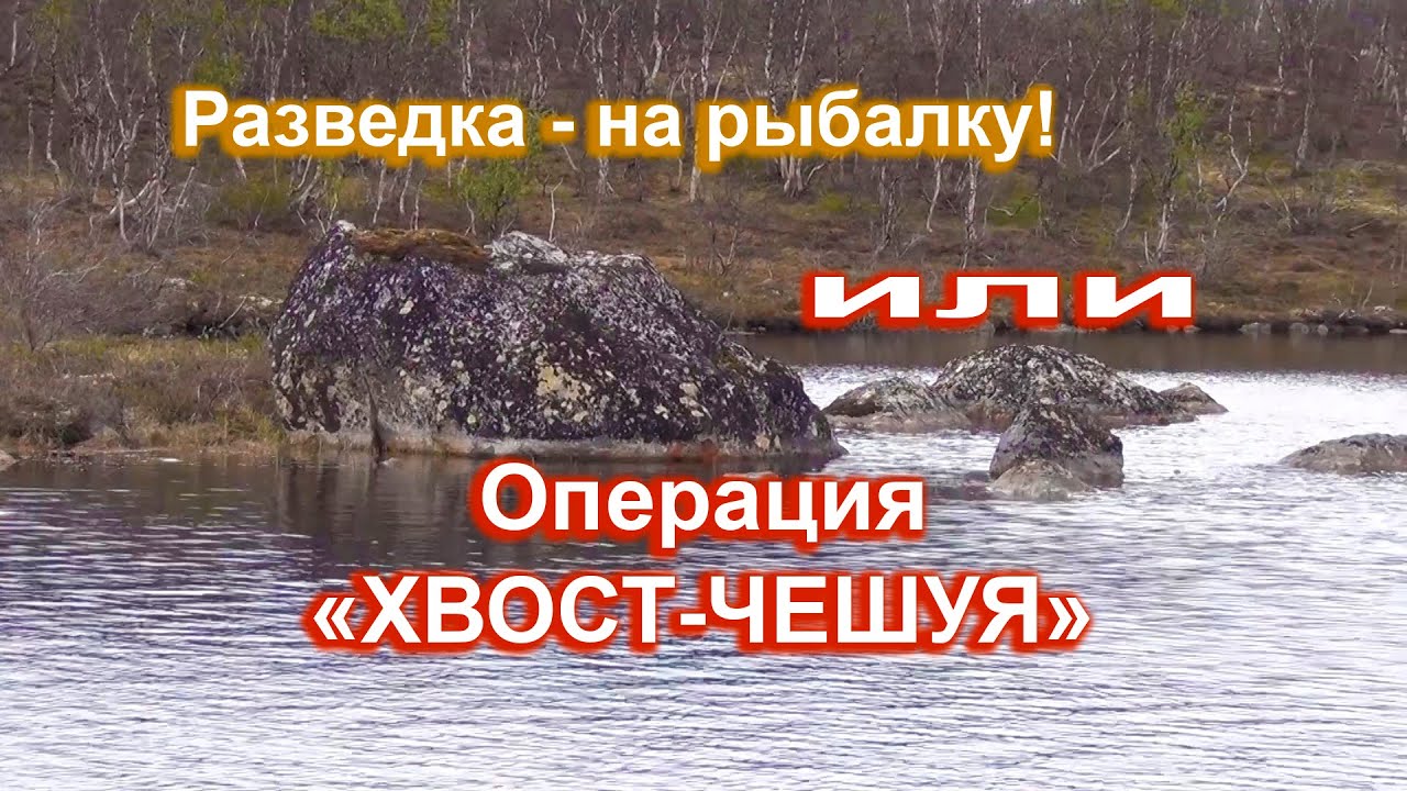 Чешуя на машине