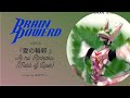 AI NO RINKAKU 『愛の輪郭 』KOKIA 吉田亜紀子 | BRAIN POWERD | ブレンパワード | COVER | by メロディー