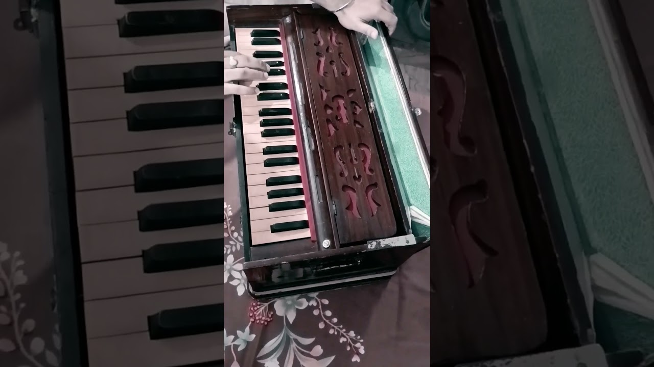 Harmonium Lover 