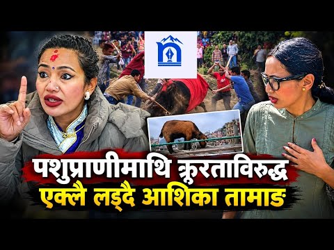 पशुप्राणीमाथि हुने क्रूरताविरुद्ध एक्लै लड्दै सांसद आशिका