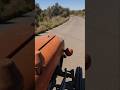 A bird joins me on my Massey Ferguson 35