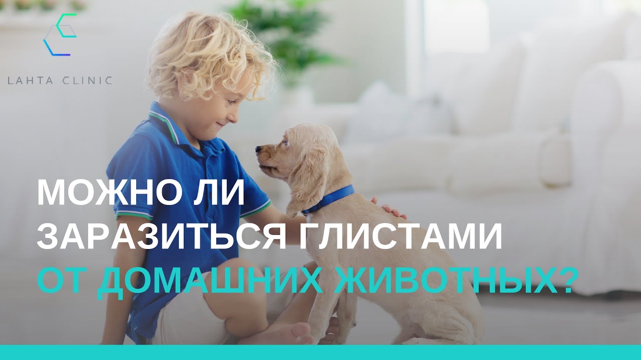 Можно ли заразиться глистами от домашних животных? - YouTube