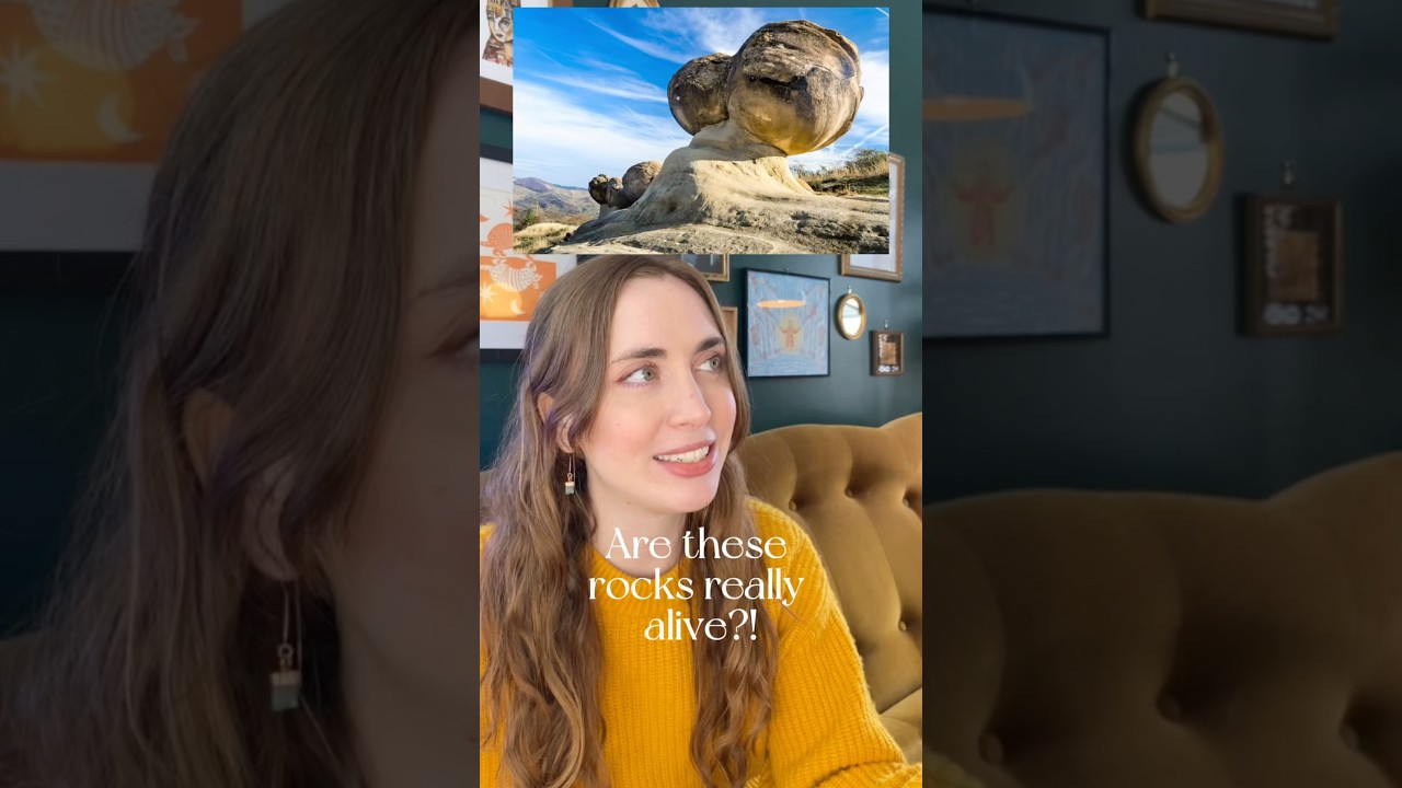 What’s the deal with these weird rocks?