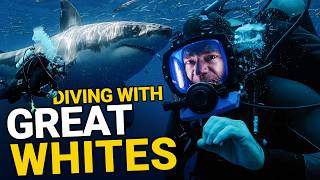 10 Best Places in the World to Dive With Sharks