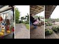 Mu I Le Maketi Meamata Taro Aufa I Lalotolo SAVAII 23May 2026 8 30AM 