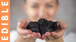 Edible Charcoal: Black Magic in Culinary Artistry
