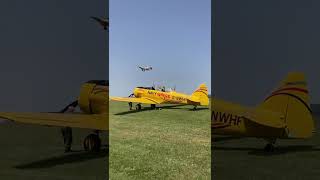 SNJ-5 Texan/Harvard G-DHHF taking off at Compton Abbas Airfield June 2022