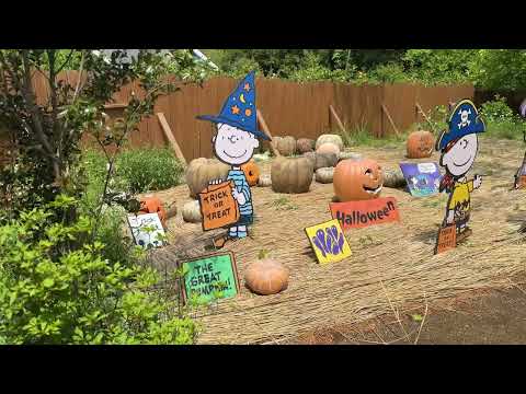 🐶 Korea Vlog | Snoopy Garden | English + Japanese CC