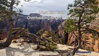 Zion National Park West Rim Trail - The Best View of Angel's Landing.