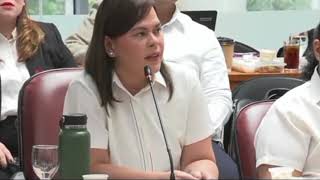 VP Sara ask to review the camera of Cong. Chua Denial screenshot 5
