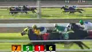FAIR GROUNDS, 2008-02-02, Race 9