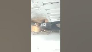 TIK TOK pubg dj remix lets go !!!!!!!!!