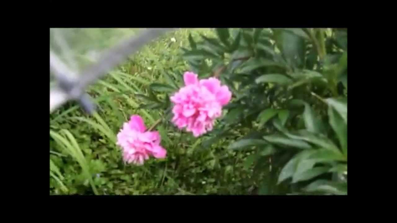 Style Clip: Rainy Day OOTD | Sisters' Causerie