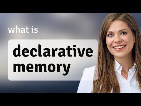 Unlocking the Secrets of Declarative Memory