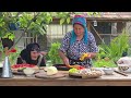 Living Off The Land: Harvesting Organic Vegetables In Our Beautiful Mountain Garden