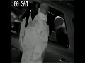 Home surveillance video of alleged car break in in Batavia NY