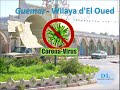 Coronavirus disease covid19  guemar el oued algeria djihad chennapart 1   