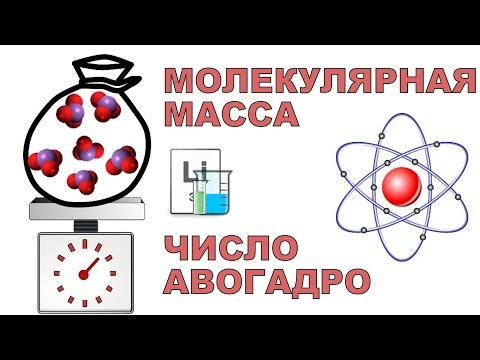 Относительная атомная и молекулярная масса | Число Авогадро | Как найти массу атома | ХИМИЯ 8 КЛАСС
