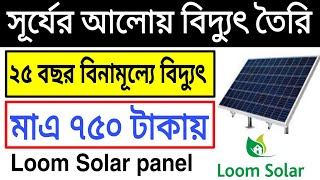 ২৫ বছর বিনামূল্যে বিদ্যুৎ । Loom Solar Panel Unboxing and Review | jantahoba ||