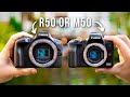 Budget 4K Camera King? - Canon R50 vs M50