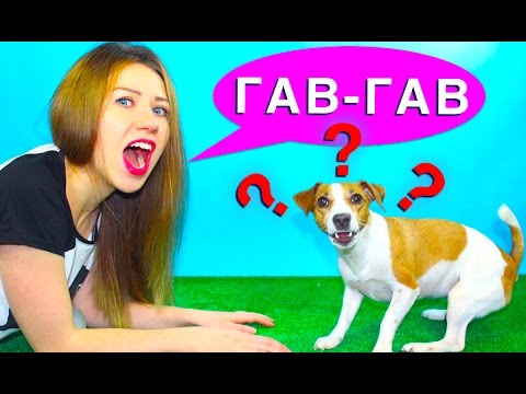 ГОВОРЮ НА СОБАЧЬЕМ ЯЗЫКЕ ТЕСТ ДЛЯ СОБАКИ | Elli Di Pets