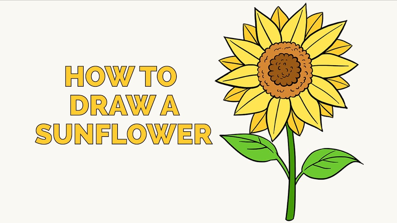 Featured image of post Sun Flower Drawing Easy For Kids / Art projects for kids and the whole family!