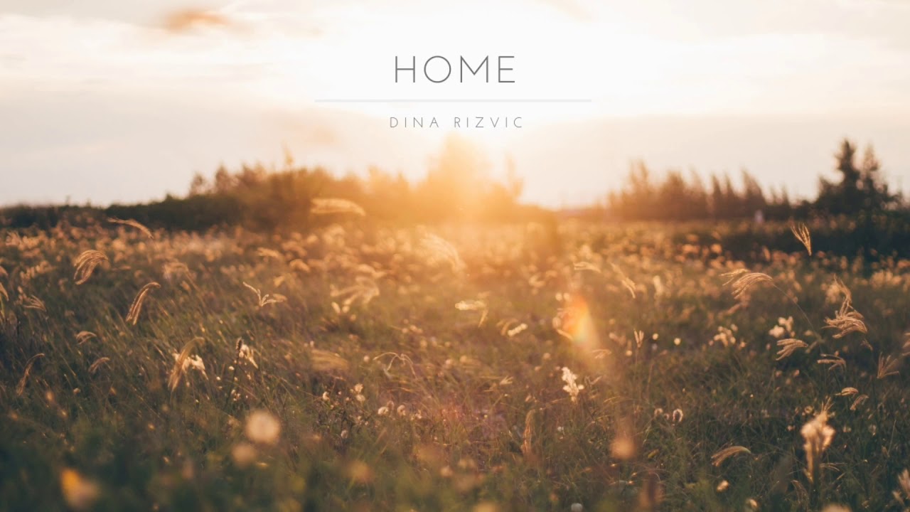 Home - Dina Rizvic
