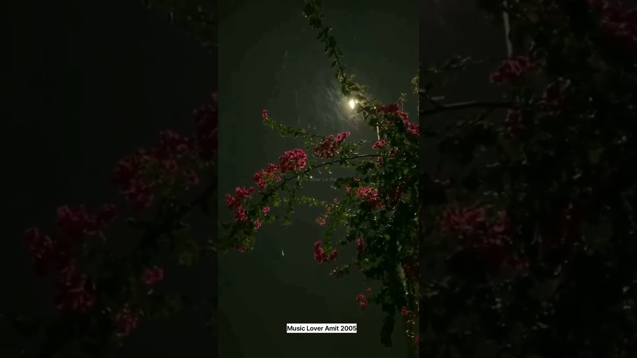 Share This Song With Your Favt Person 🫀🥰❣️ 