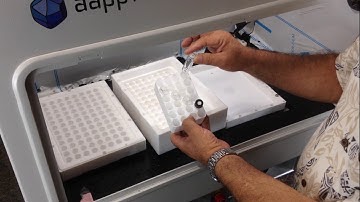 AAPPTec Tutorial - Apex 396 Cleavage Operation Pt 3