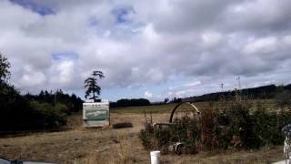 EA 18G Terrorizing North Whidbey island wa 09022016 after noon