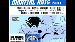 Ricky Rudy aka Bling Dawg - Rinse It [Martial Arts Riddim] Vol  1 2002 INVYBZ