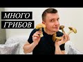 ВЫБИРАЕМ ГДЕ ОТДОХНУТЬ! КУПИЛИ МЕБЕЛЬ