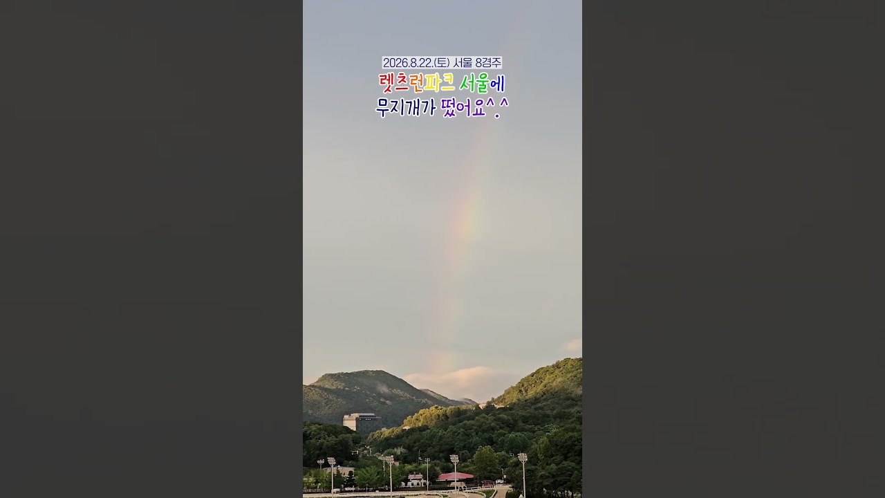 무지개 떴어요! 무지개 레이스!!  #릴스 #무지개 #말