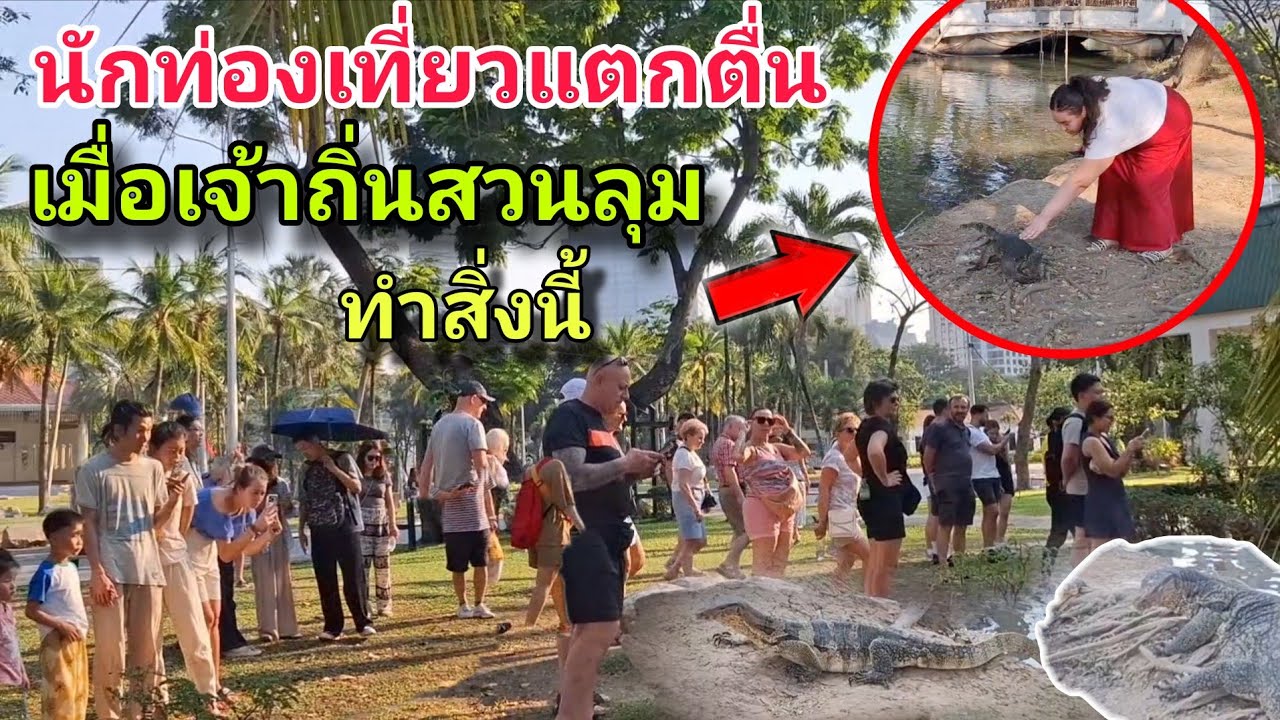 นักท่องเที่ยวแตกตื่น เมื่อเจ้าถิ่นสวนลุม ทำสิ่งนี้?