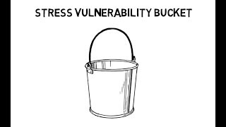 Stress Vulnerability Bucket