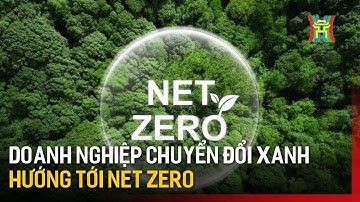 Doanh nghiệp chuyển đổi xanh hướng tới mục tiêu Net Zero | Tin tức