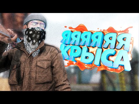 ПОДСТАВИЛ ВСЕ ГРУППИРОВКИ в DayZ [STALKER RP]