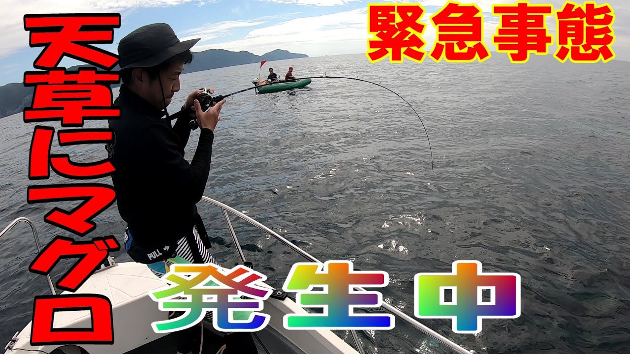 【緊急事態】ミニボート釣行天草にマグロ大量発生中！