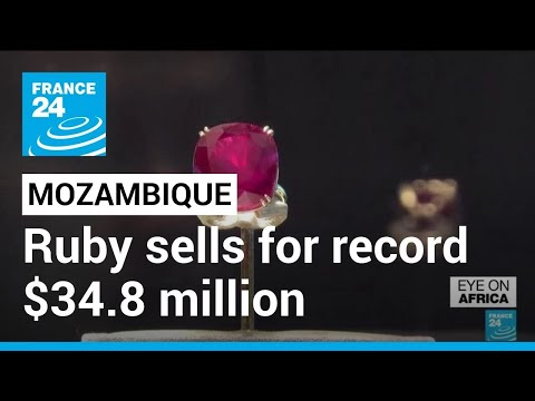 Mozambique ruby sells for record $34.8 million • FRANCE 24 English