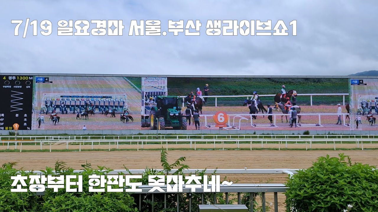 경마가 터지는분위기 첫판부터 삼천포 마번만 나오네~(서울1.2.3경주/부산1,2경주)