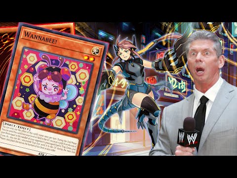 CRAZY DINOMORPHA TECH CARDS - TRY THESE CARDS IN UR DINOMORPHIA DECK NOW!!  - YouTube