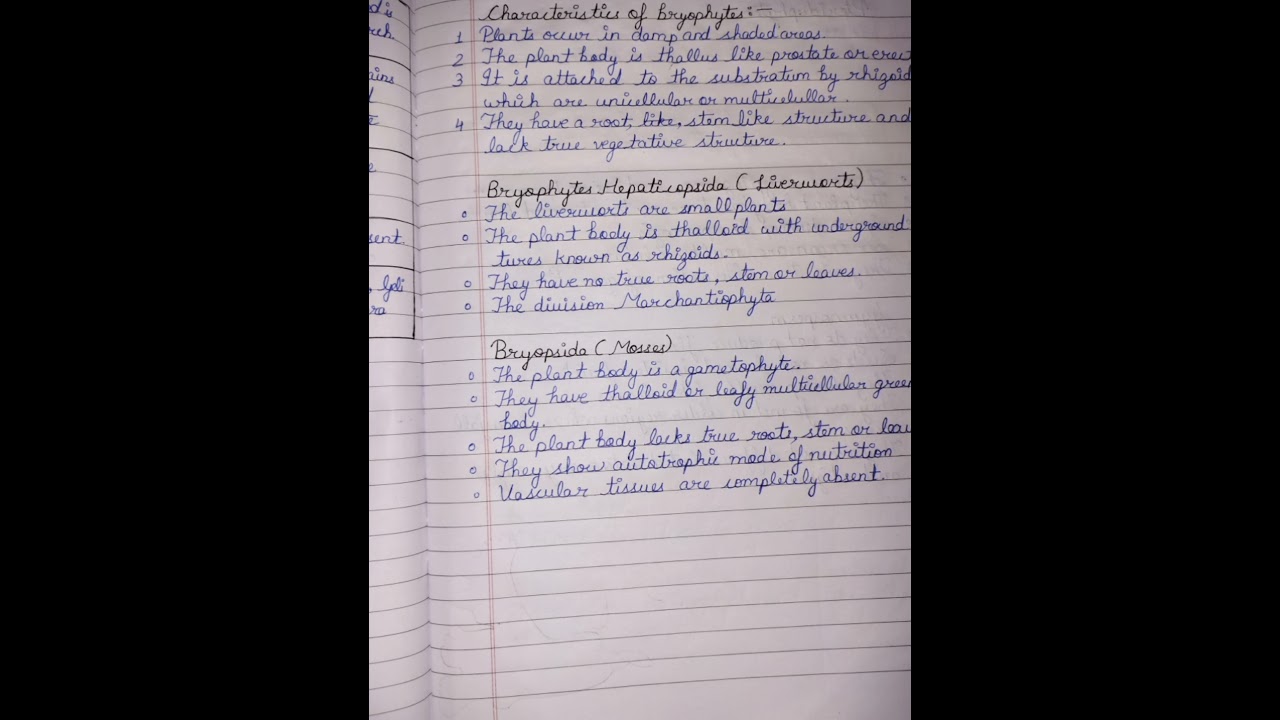 Class 11 chapter 3 Plant Kingdom hand written notes