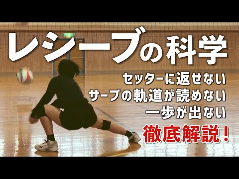 バレーボール・レシーブの基本〜よくある間違い３つを詳しく解説！