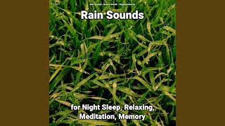 Rain Sounds Pt. 25