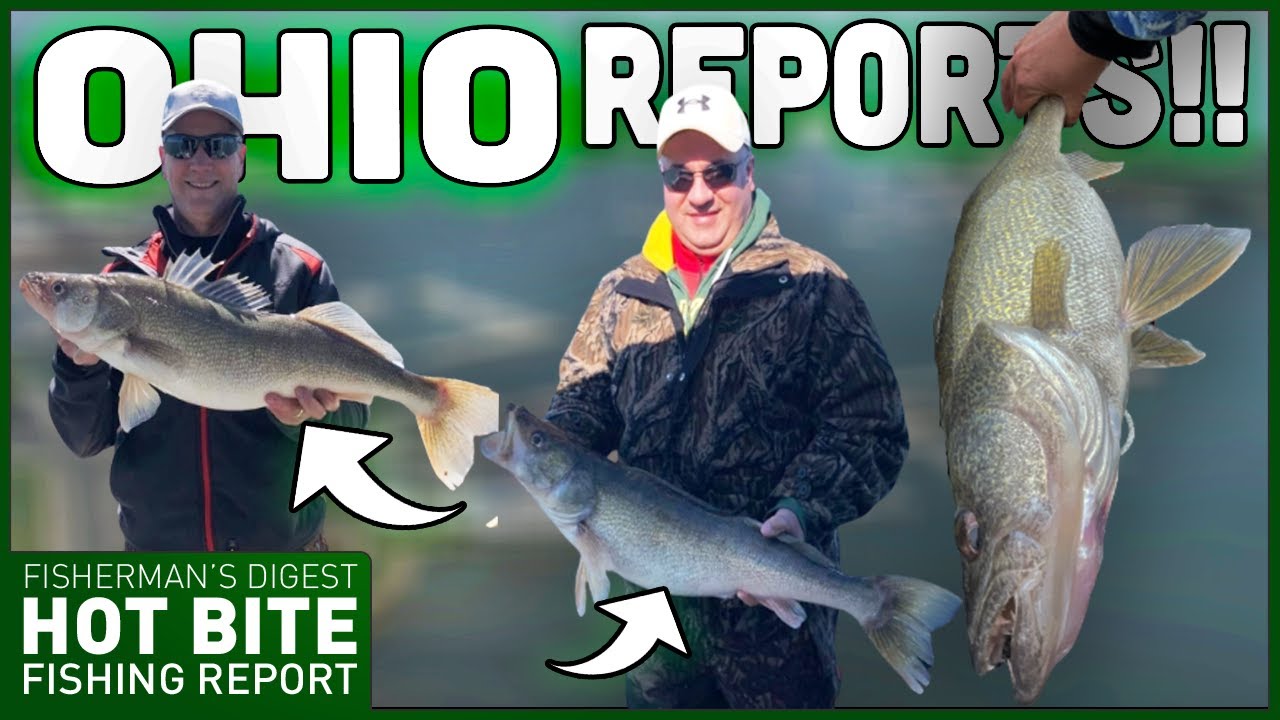 Lake Erie Walleye Fishing Reports!!! 