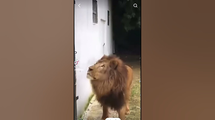 സീനടിയിൽ പുലിയാണവൻ । കുളിസീൻ । #funny animals #lion #Garr #ഗർർ #kunchakoboban #surajvenjaramoodu